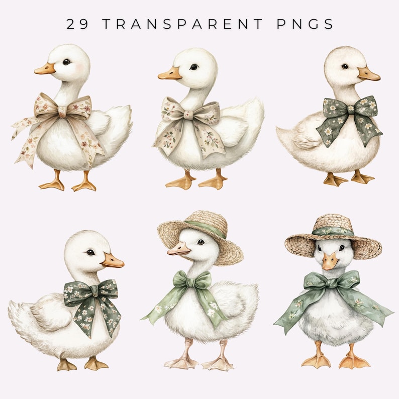 Silly Goose Clipart Goose Party PNGs Watercolor Birthday Baby Shower Nursery Clipart Vintage Cottagecore Spring Wildflowers Commercial Use image 2