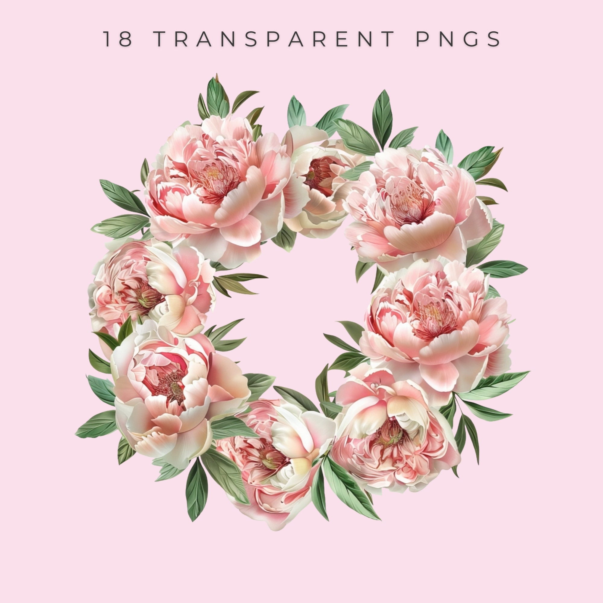 Pink Peonies Clipart Set Peony Clip Art Watercolor Floral Peony PNG ...