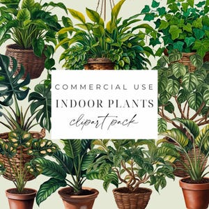 Imágenes prediseñadas de plantas de interior Imágenes prediseñadas de plantas de interior PNG Plantas en macetas Gráficos de cactus Jardinería Botánica Vegetación Descarga instantánea Uso comercial