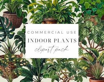 Houseplants Clipart Indoor Plants Clipart PNG Potted Plants Cactus Graphics Gardening Botanical Greenery Instant Download Commercial Use