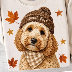 May include: A cream-colored sweatshirt featuring a graphic of a golden-brown dog wearing a brown knit beanie with the text "sweet fall" and a brown and white checkered bandana, surrounded by orange maple leaves and small brown stars.
