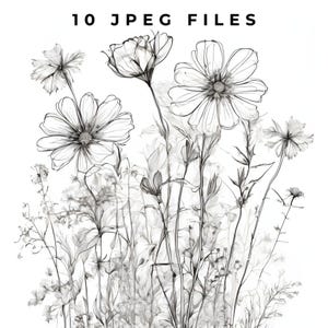 May include: A black and white line drawing of a bouquet of flowers, including cosmos and other wildflowers.