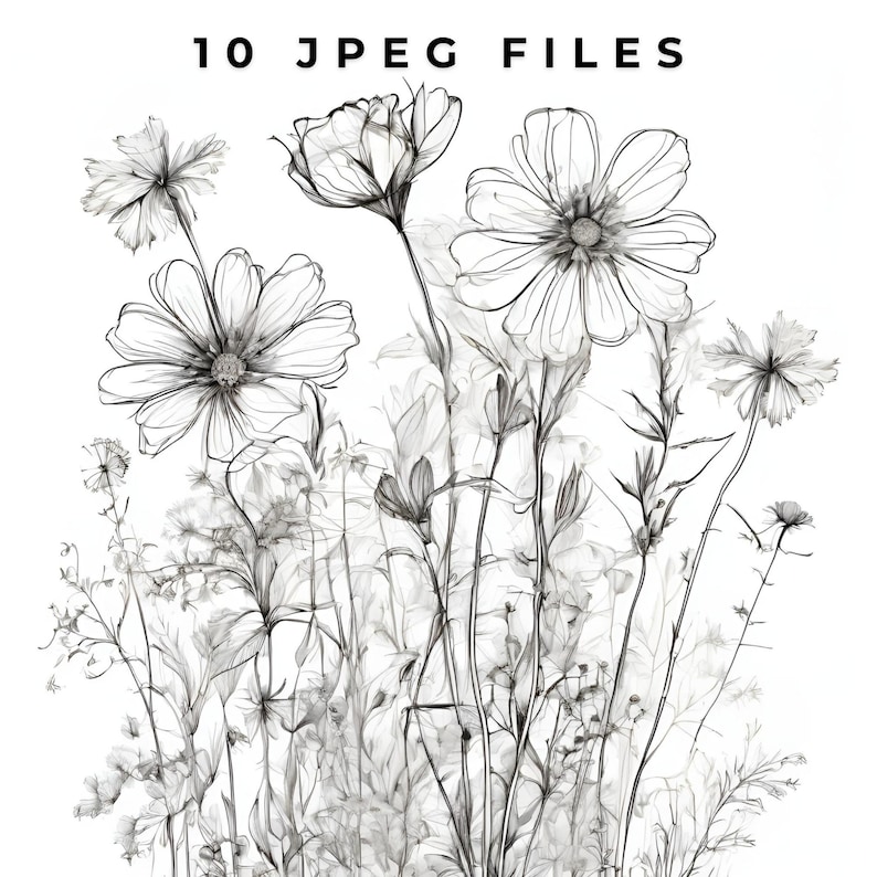 May include: A black and white line drawing of a bouquet of flowers, including cosmos and other wildflowers.