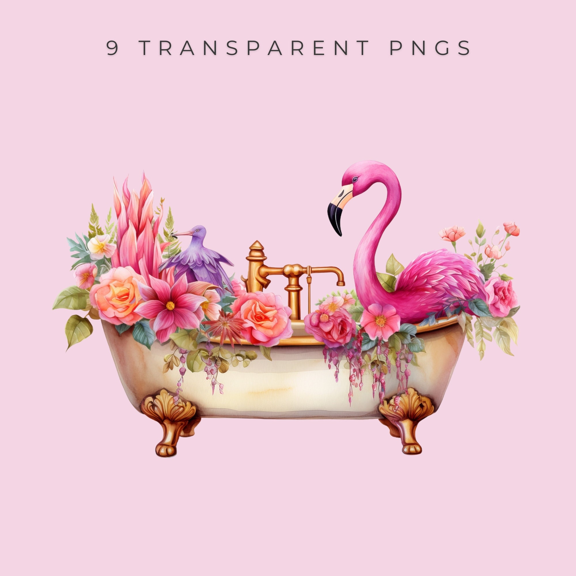 Flamingo Clipart Set Pngs, Commercial Use, Flamingo Digital Clipart