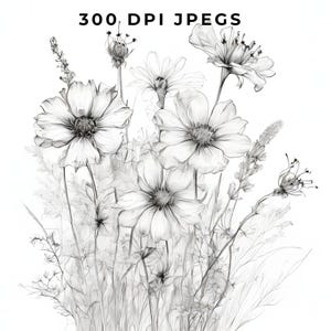 May include: A black and white pencil drawing of a bouquet of delicate flowers with thin stems and leaves. The flowers are in bloom and have a soft, ethereal look.