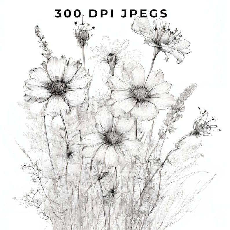 May include: A black and white pencil drawing of a bouquet of delicate flowers with thin stems and leaves. The flowers are in bloom and have a soft, ethereal look.