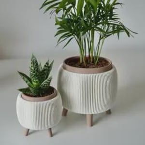 May include: Two white, ribbed ceramic planters with brown trim and wooden legs. One planter holds a small succulent, the other a tall, leafy plant. The planters are on a white surface.