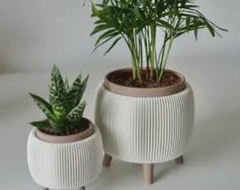 May include: Two white, ribbed ceramic planters with brown trim and wooden legs. One planter holds a small succulent, the other a tall, leafy plant. The planters are on a white surface.