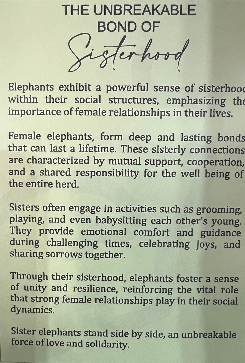 Unbreakable Bond of Sisterhood Ornament - Etsy