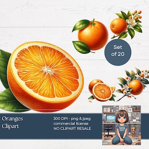 Orange fruit clipart png | digital download | orange branches png jpg | orange fruit sublimation clipart commercial use | Instant download