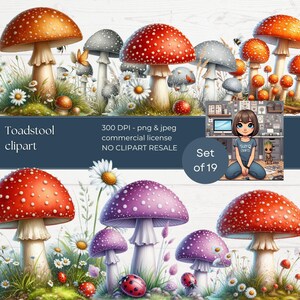 May include: A digital collection of toadstool clipart featuring various mushrooms in red, orange, and purple with white spots, surrounded by daisies, grass, and ladybugs. The text reads Toadstool clipart, 300 DPI - png & jpeg, commercial license, NO CLIPART RESALE, Set of 19.