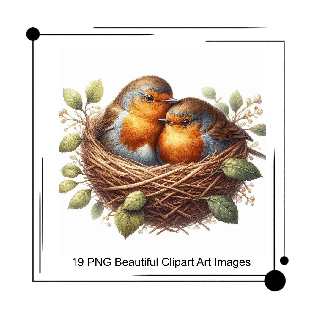 Cute Christmas Robin Set Clipart Png Digital Download Robin Christmas ...