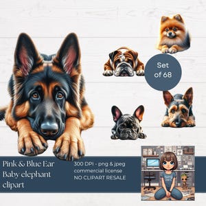 Diferentes raças de cães Clipart png | clipart de cachorro | Download instantâneo | PNG de alta qualidade | Sublimação | 68 png de pedigree de cachorro | Uso comercial