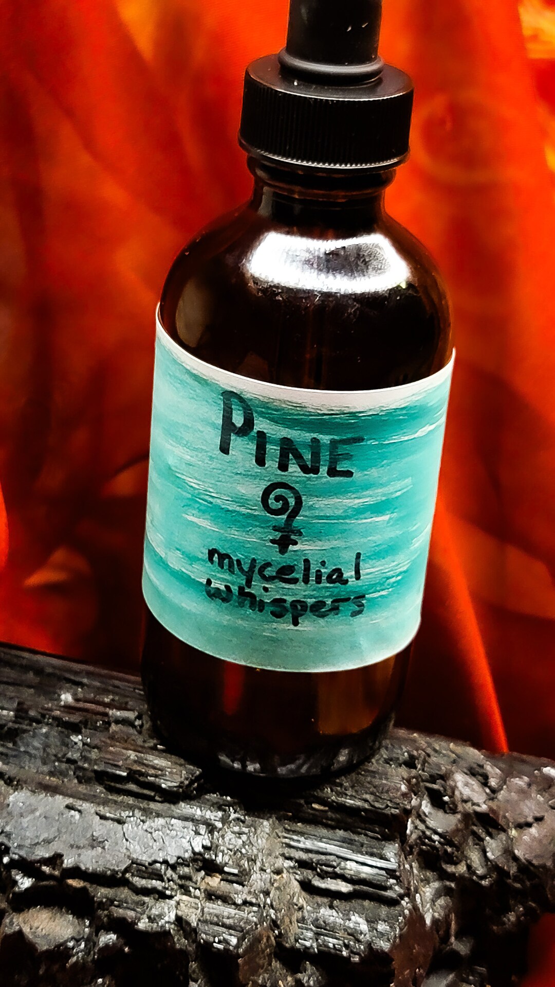Pine Tincture Herbal Medicine Etsy