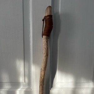 Handmade Walking Stick