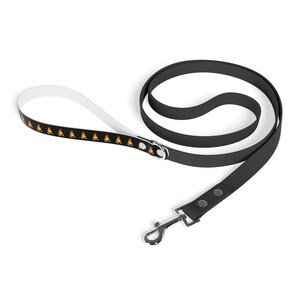 Campfire Dog Leash