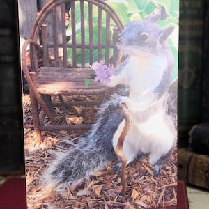 Cartão de felicitações em branco com o esquilo taxidermizado "Dexter Flickertail" por Ronda Johnson | Arte de taxidermia exclusiva