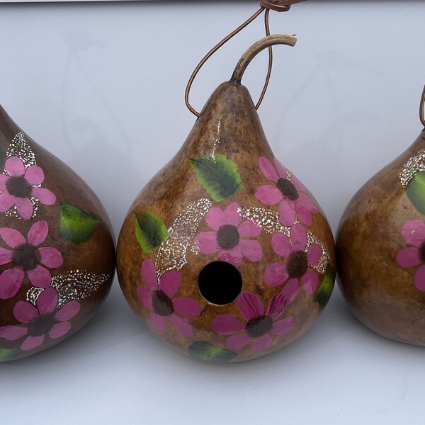 Painted Gourd  |  Gourd Art | Handpainted Gourd | Handpainted Gourd | Gourdartistiam  | Raw Gourds |  Martin Gourds | Cleaned Gourds