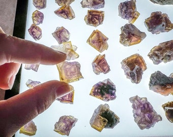 ANHUI Yellow Fluorite with Thousand Layer Purple Phantoms, RARE Fluorescent Minerals