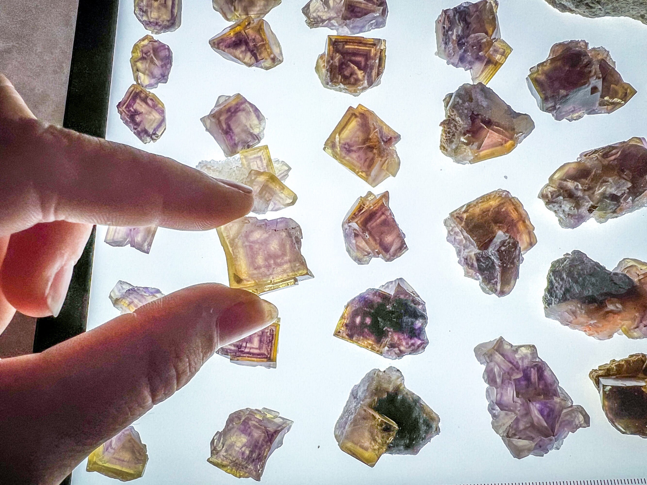 【37g】中国 安徽省産 イエローフローライト パープルファントム クラスター Anhui fluorite - Etsy 日本