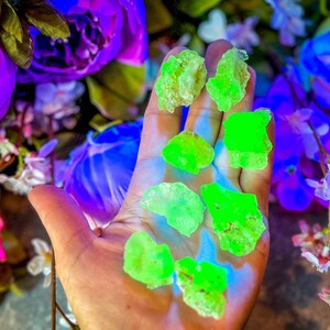 Puede incluir: Una mano sosteniendo una colección de ocho cristales fluorescentes verdes y amarillos. Los cristales son de varios tamaños y formas, y brillan intensamente bajo una luz negra.