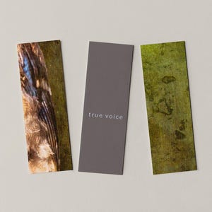 Puede incluir: Tres tarjetas de visita rectangulares. Una tarjeta tiene el texto "true voice" en una fuente clara. Las otras dos tarjetas tienen diseños abstractos texturizados en tonos de marrón, azul y verde. Las tarjetas están dispuestas sobre un fondo neutro.