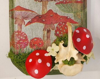 Vértebras de hongos