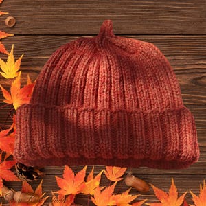 May include: A rust-colored knitted beanie hat featuring a ribbed texture and a folded cuff. The hat has a pointed top and is crafted from a thick yarn, displaying a consistent vertical knit pattern throughout the entire structure of the garment.