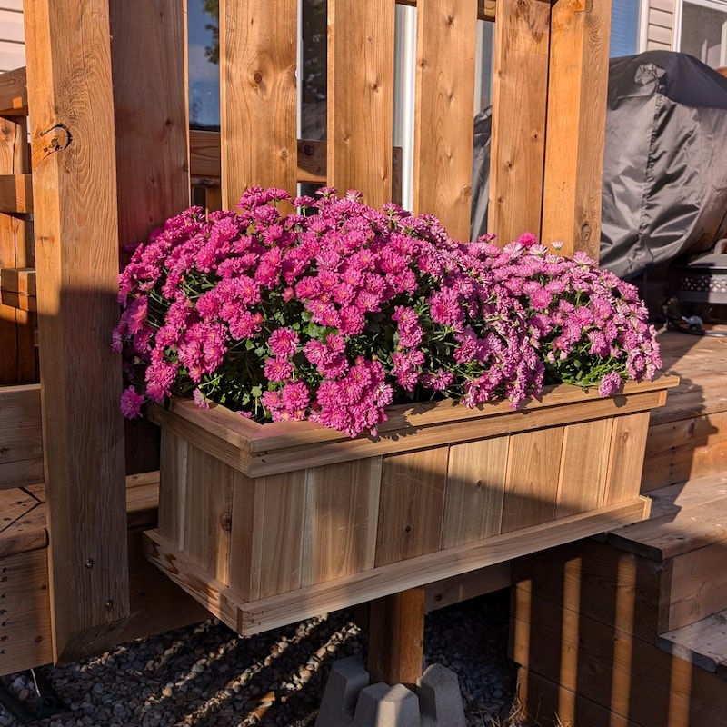 Rustic Planter Box - Etsy