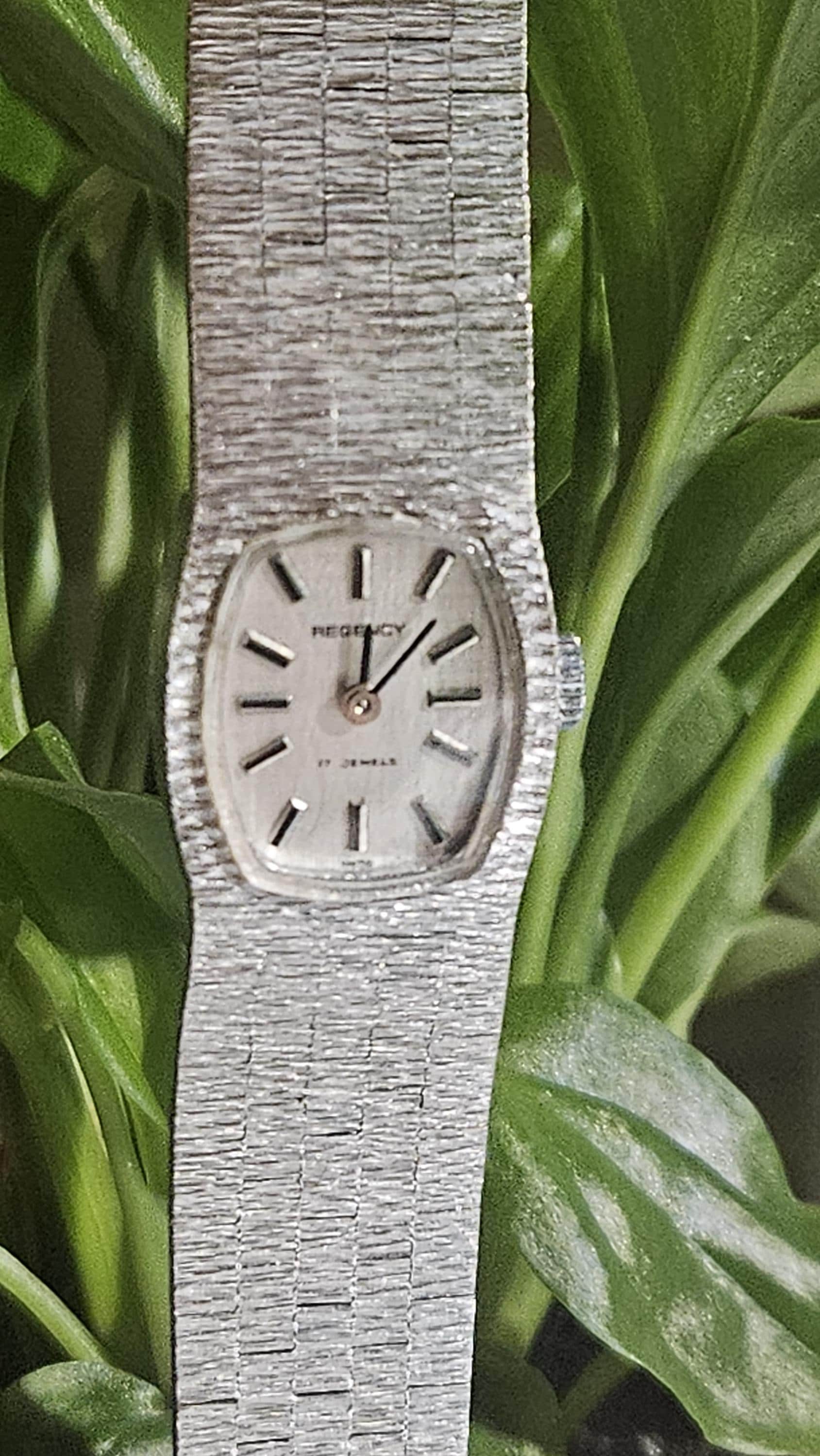 1960's Silver Bark Finish, Regency, Swiss Made, FHF 69 Manual