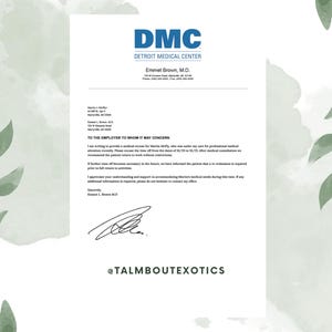 Carta de Ausência/Desculpa Médica Editável | Michigan