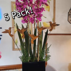 Humming Bird Plant Stake rustic metal garden yard art (5pk)