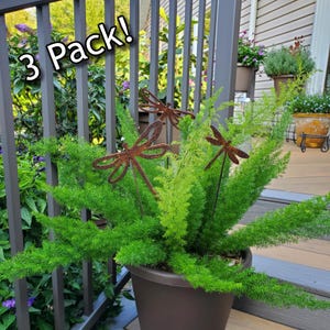 May include: A potted green plant with three rusty metal dragonfly stakes. The dragonfly stakes are placed in a brown pot on a wooden deck. The text "3 Pack!" is in the upper left corner.