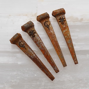 May include: Four rusty metal nails with decorative symbols etched on their heads. The nails have a rectangular head and a tapered body, with a dark brown symbol on each head. The nails are arranged diagonally against a white background.