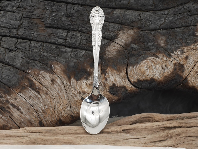 May include: A silver spoon with an ornate handle and a rounded bowl. The spoon is highly polished, reflecting the light. The handle features a detailed floral design. The spoon is set against a textured, dark wood background.