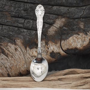 May include: A silver spoon with ornate detailing on the handle and bowl. The spoon is set against a rustic wooden background, highlighting its elegant design. The spoon's reflective surface mirrors the surrounding environment.