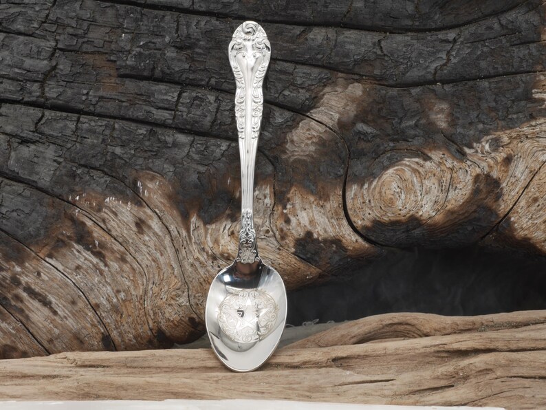 May include: A silver spoon with ornate detailing on the handle and bowl. The spoon is set against a rustic wooden background, highlighting its elegant design. The spoon's reflective surface mirrors the surrounding environment.