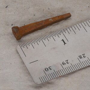 May include: A rusty, rectangular nail with a flattened head, approximately 1 inch long, lies next to a ruler. The nail's color is a reddish-brown, indicating oxidation. The ruler shows inch and fractional inch measurements.