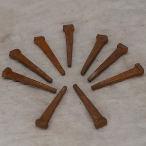 May include: A collection of nine rusty, antique nails arranged in a circular pattern. Each nail has a rectangular head and a tapered, pointed body. The nails are a warm, reddish-brown color, suggesting age and exposure to the elements.