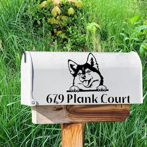 May include: A white mailbox with a black and white dog graphic and the address "679 Plank Court" in black lettering. The mailbox is mounted on a wooden post, surrounded by green grass and foliage.