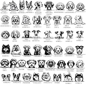 May include: A black and white illustration featuring a variety of dog breeds, each labeled with its name. Breeds include Golden Retrievers, German Shepherds, and Jack Russells. The image is a collection of dog portraits.
