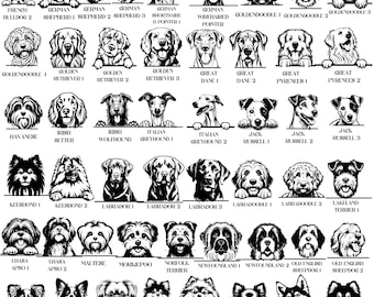 Custom Dog Mailbox Decal/Personalized Address Decorative Name Mailbox Decal/Dog Breed Decal/Dog Lover Gift/Dog Mom Decal/Dog Mom Gift