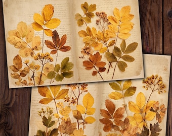 May include: Two vintage-style prints featuring pressed leaves and botanical elements. The leaves are in shades of yellow, brown, and green, arranged on aged paper with handwritten script. The prints are displayed on a dark wood surface.
