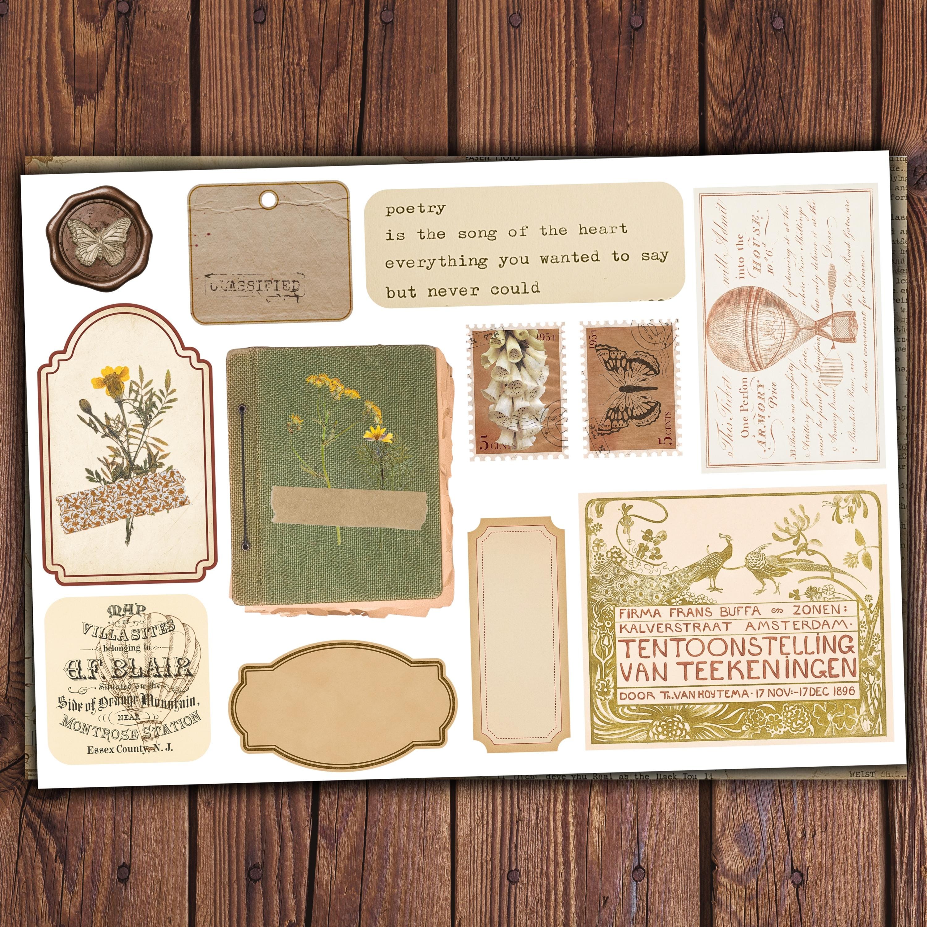 Vintage Botanical Junk Journal Ephemera Pack, Antique Nature Fussy Cuts ...
