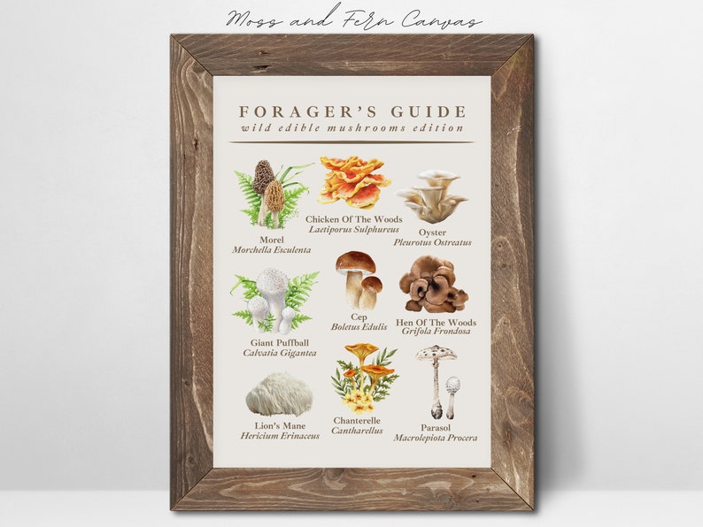 Printable Wild Edible Mushroom Poster, Botanical Poster, Foraging Art ...