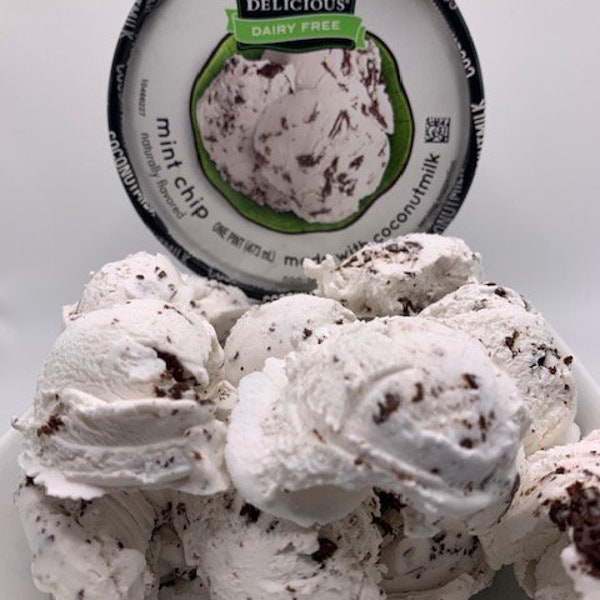 Freeze Dried Dairy Free Mint Chocolate Chip Ice Cream Bites - Coconut Milk - Non-GMO - Gluten Free