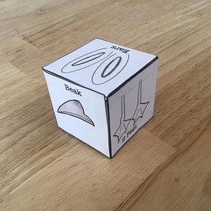 2 x Printable animal drawing dice for kids