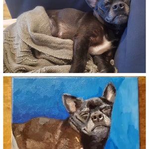 Hand-painted Custom Pet Portrait Acrylic Dog or Cat Painting image 4