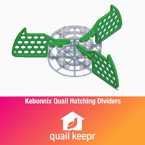 Kebonnixs Quail Hatching Dividers - STL files to 3d print at home