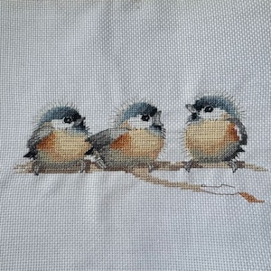 Peut inclure: Trois petits oiseaux bleus et bruns, duveteux et aux yeux noirs, sont perchés sur une branche. Les oiseaux regardent vers la droite de l'image.